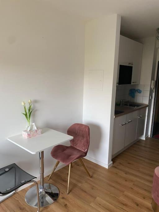 Schoene, Kleine, Gemuetliche Wohnung - Stadtmitte Μάιντς Εξωτερικό φωτογραφία